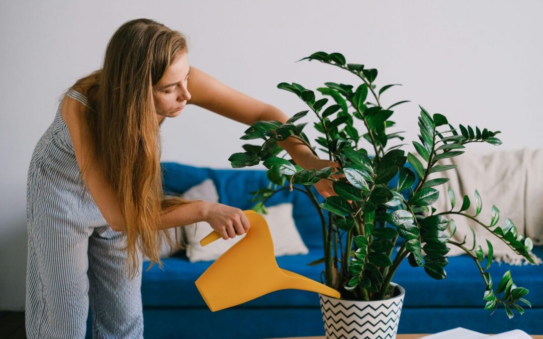 Best Plants for Apartments: Bring Life to Your Bishop Arts Apartment